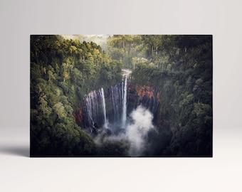 Nature & Animals