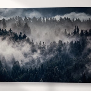 Misty Forest Framed Canvas Leather Print