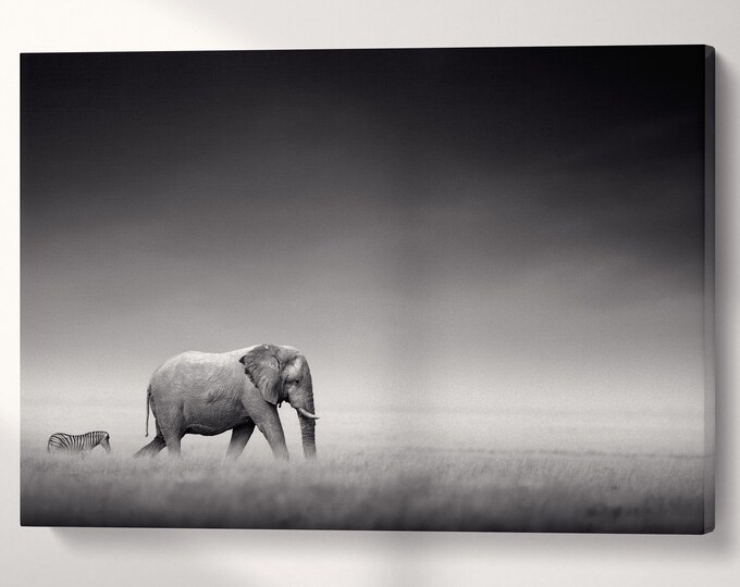 Elephant With Zebra in Etosha Africa Black and White Wall Art Canvas Eco Leather Print, Made in Italy!