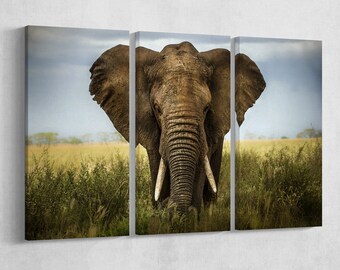 Elephant Print Eco Leather Framed Wall Art Multi Panel