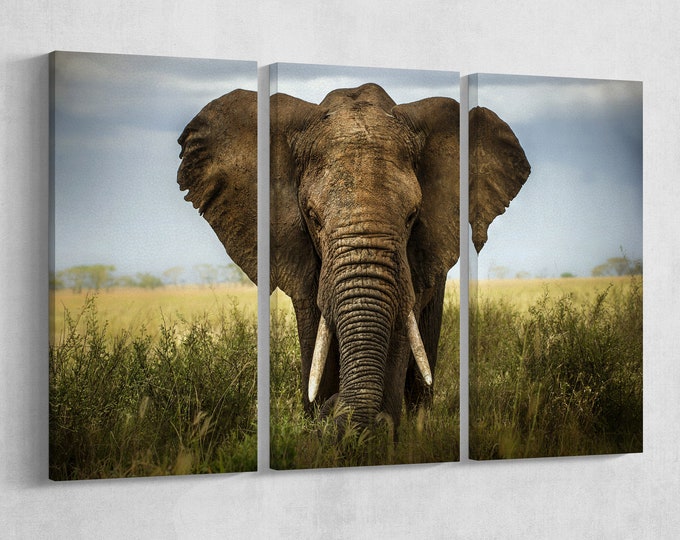 Elephant Leather Print/Wall Art/Extra Large Print/Multi Panels Print/Multi Pieces Print/Wild Animals Print/Better than Canvas!