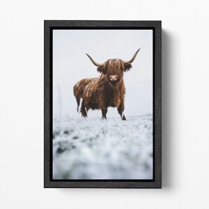 Art mural vache à longues cornes dans la neige, décoration d'intérieur, impression de cuir écologique, fabriqué en Italie !