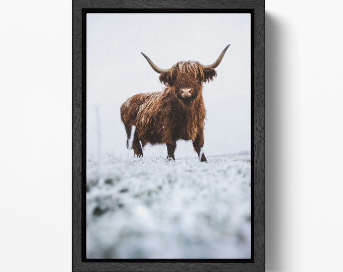 Longhorn Cow In The Snow Canvas Wall Art Home Decor Eco Leather Print, Made in Italy!