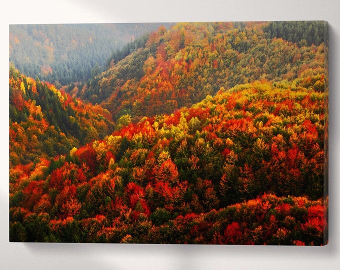 Orange and Red Autumn Forest Nature Wall Art Canvas Eco Leather Print, Made in Italy!