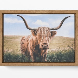 Highland cow canvas wall art eco leather premium frame print, Made in Italy!