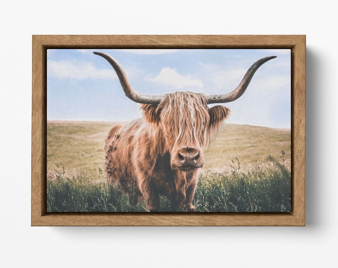 Highland cow canvas wall art eco leather premium frame print, Made in Italy!