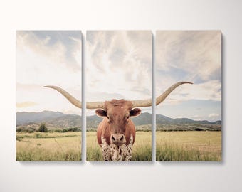 Texas Longhorn Steer Soft Tones Triptych Canvas Eco Leather Print, Made in Italy!
