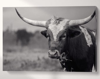 Texas Longhorn Steer Black And White PETA Approved Faux Leather Art