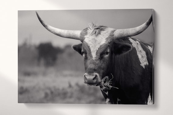 Texano bianco cheap e nero