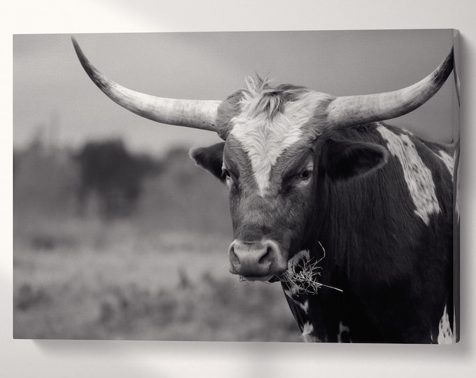 Texas Longhorn Steer Black and White Driftwood Texas Canvas Eco Leather Print, Made in Italy!