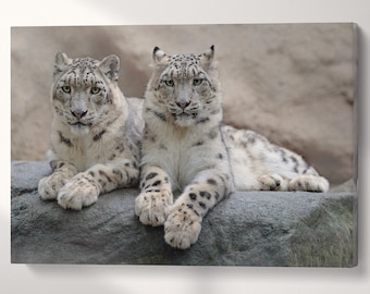 Snow Leopards Canvas Eco Vegan Leather Print, Made in Italy!