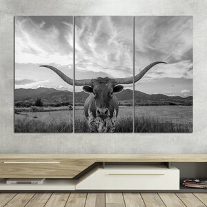 May include: A black and white photograph of a longhorn steer with large horns, standing in a field. The steer is looking directly at the camera.