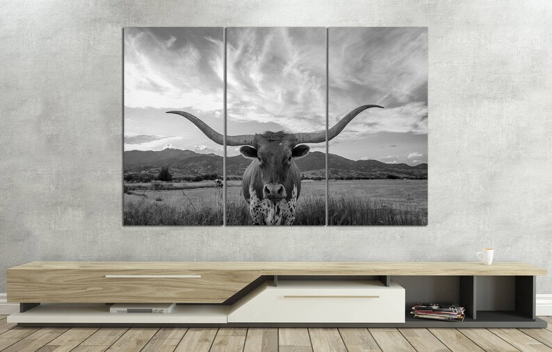 May include: A black and white photograph of a longhorn steer with large horns, standing in a field. The steer is looking directly at the camera.