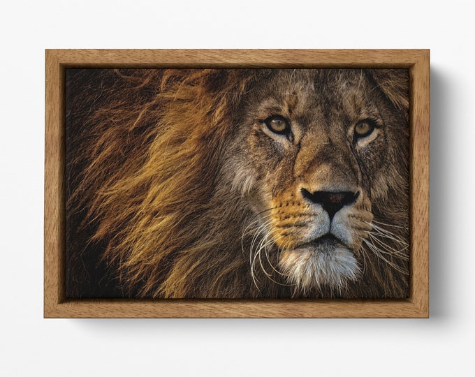 Lion Face Wall Art Premium Frame Canvas Eco Leather Print, Made in Italy!