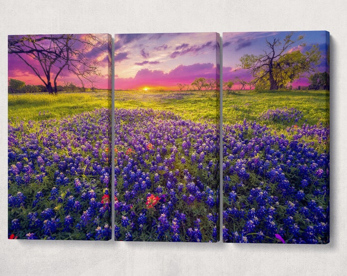 Texas Hill Country at Dawn Framed Wall Art Canvas Eco Leather Print, Made in Italy!