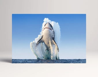 Great White Shark Breach PETA Approved Eco Leather Canvas Triptych or Single Art
