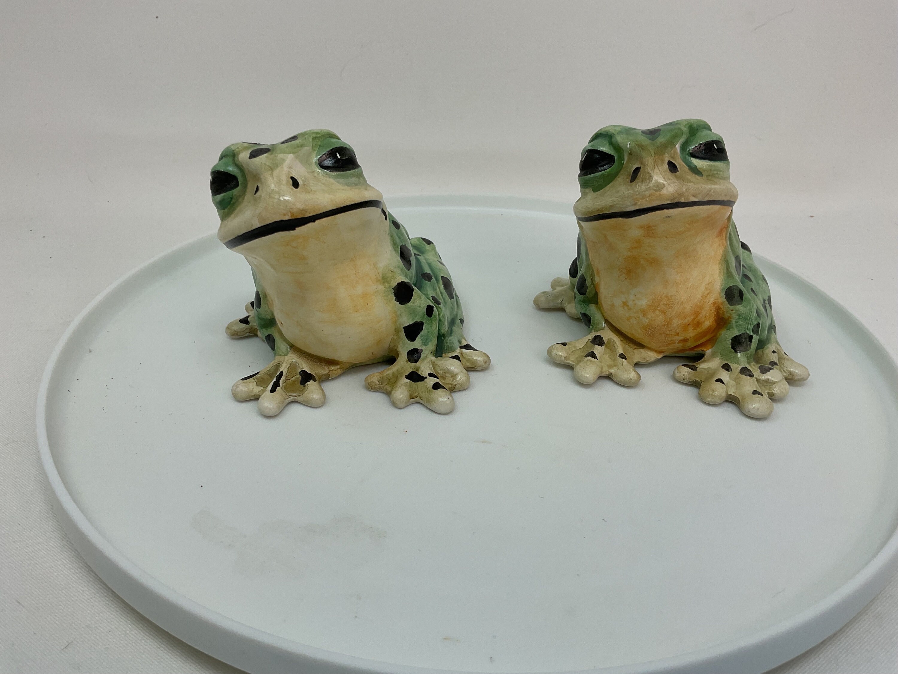 TLDSHOP® - Frog Accessori - in Omaggio una Ceramica originale siciliana -  PZ 1 (VASCHETTA RECUPERO ACQUA) : : Casa e cucina