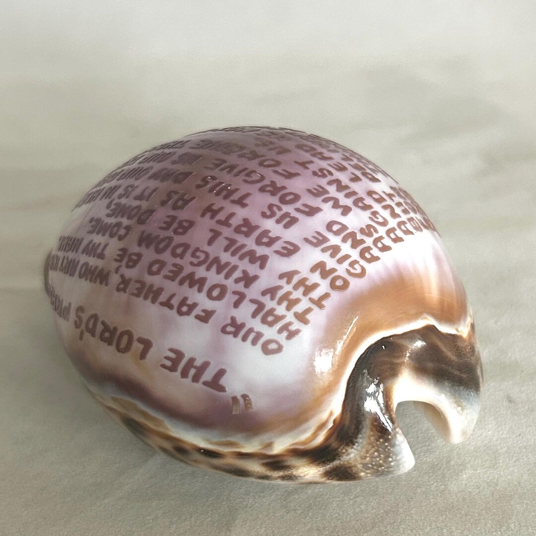 Vintage Cowrie Sea Shell Lord’s Prayer Our Father Carved Christian ...