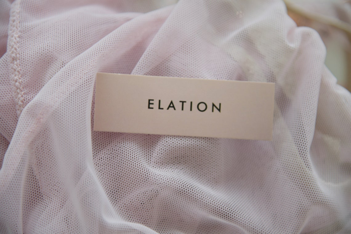 ESTHER High-waisted Cheeky Panty High-waisted Sheer Panties | Etsy Canada