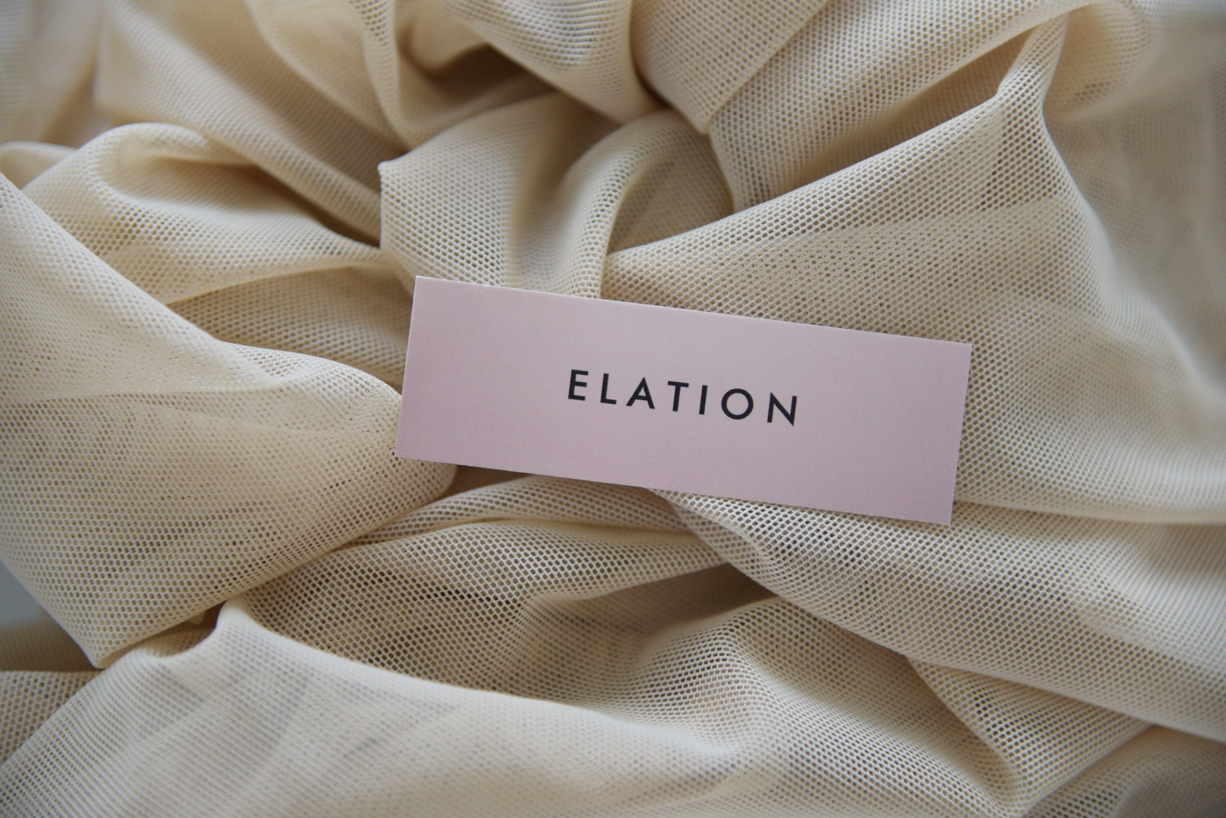 ESTHER High-waisted Cheeky Panty High-waisted Sheer Panties - Etsy Canada