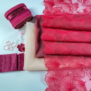 Può includere: Una collezione di materiali per la creazione di lingerie, tra cui rotoli di elastico bordeaux, una chiusura per reggiseno e un delicato tessuto di pizzo rosso con un motivo floreale. Sono inclusi anche spalline trasparenti, anelli metallici e un piccolo fiocco bordeaux.