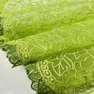 May include: Close-up of a vibrant green lace fabric with intricate floral patterns. The fabric has a delicate, sheer quality, with a darker green trim along the edges. The design features detailed leaf and vine motifs.