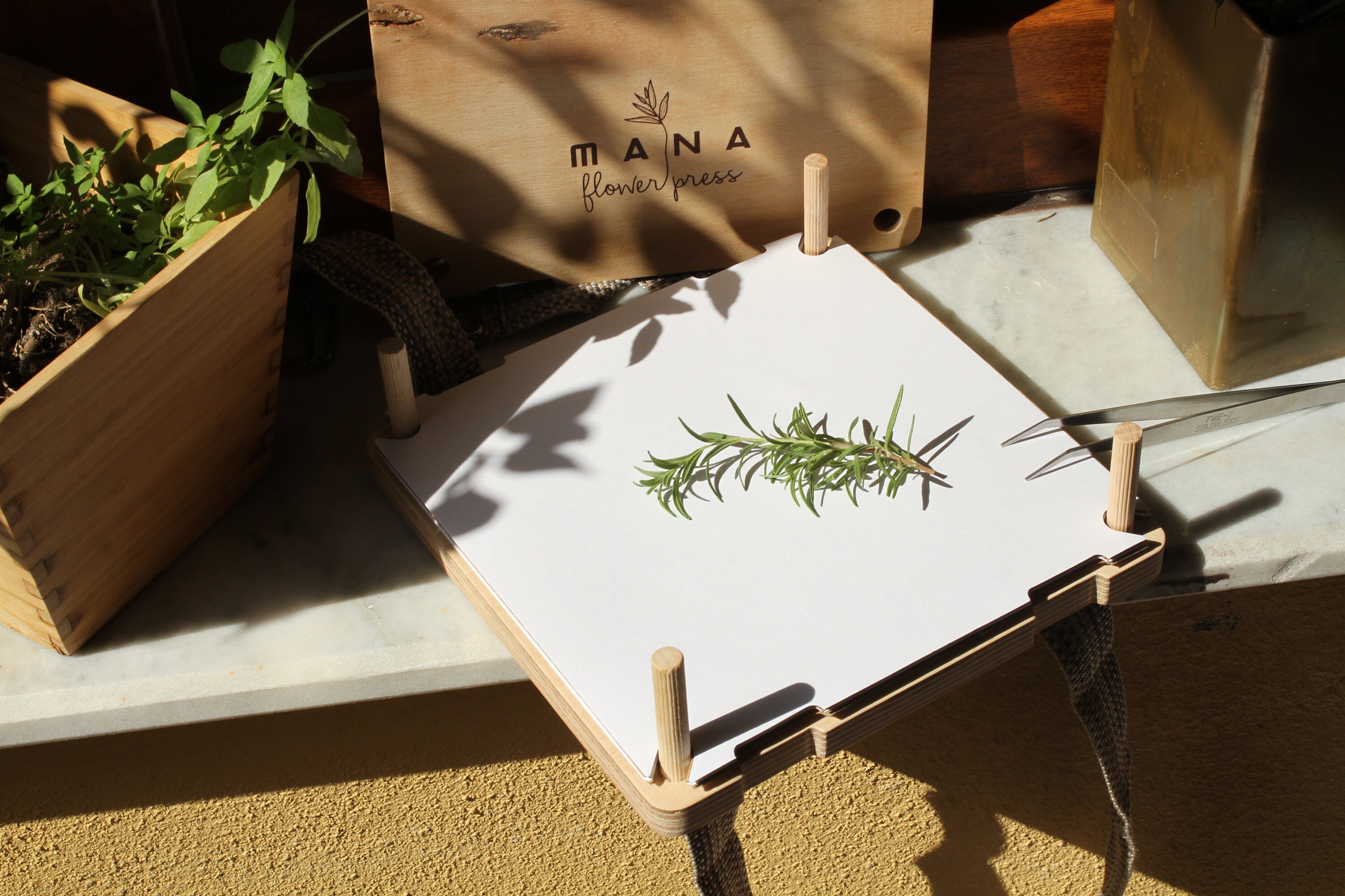 Flower Press Blotting Papers Etsy