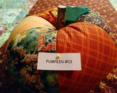 Pumpkin 13