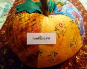 Pumpkin 14