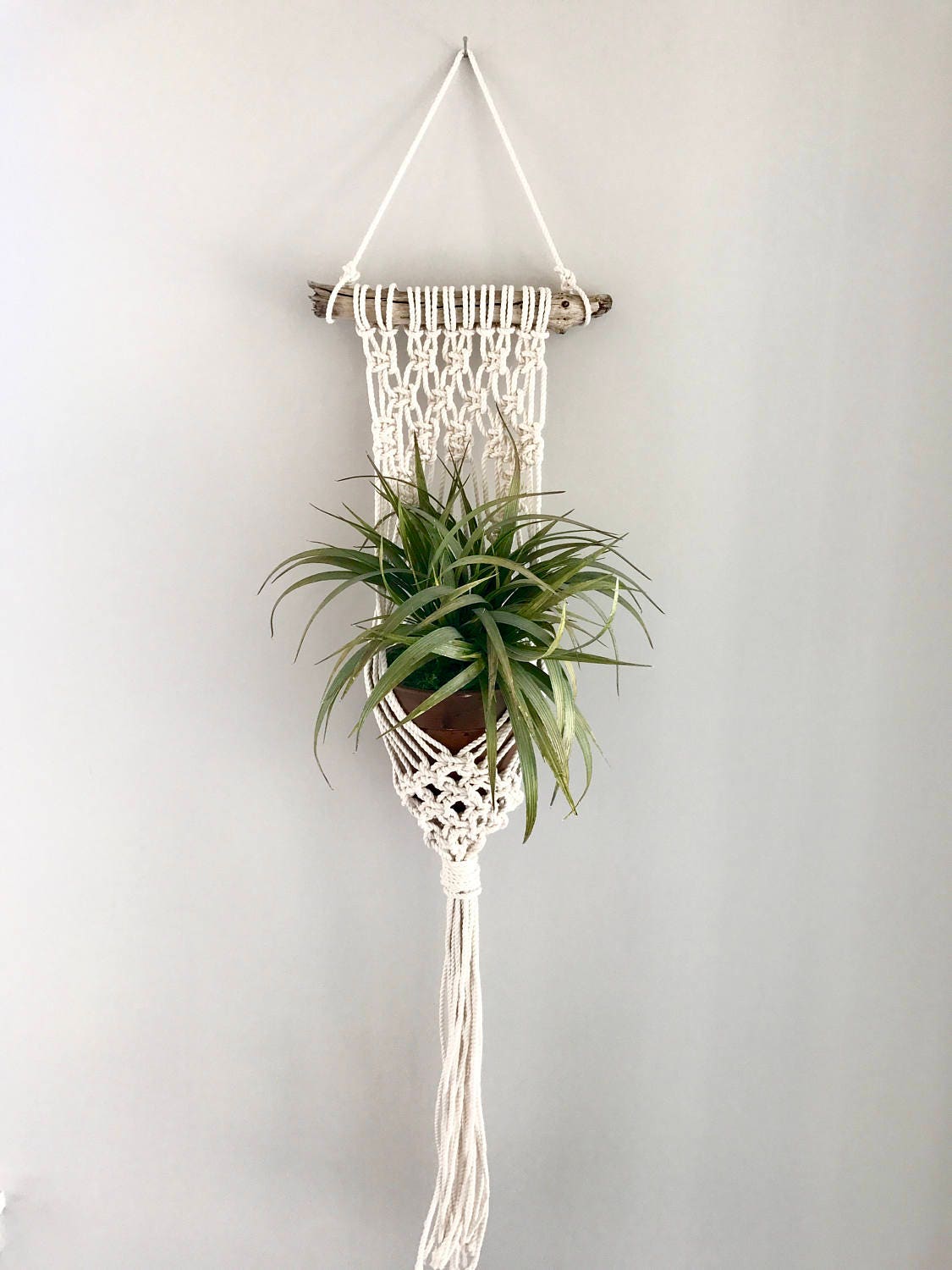 Macrame plant hanger driftwood macrame plant hanger plant