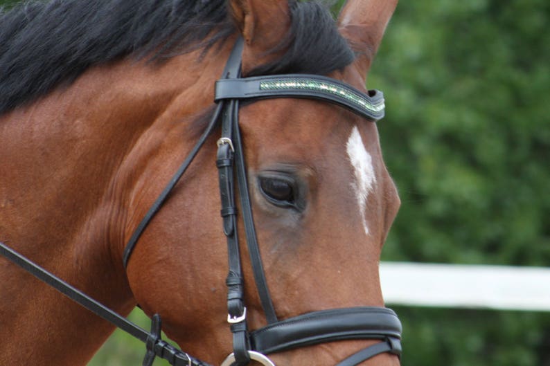 Pony Small Horse Custom Leather Browbands Soft V in Mini Full and Oversize Sizes