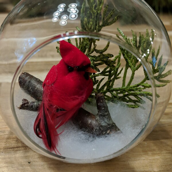 Cardinal in snow ornament