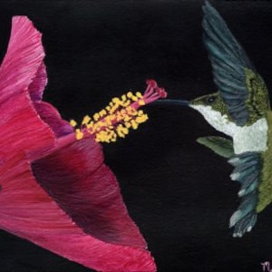 Hummingbird Flight Print