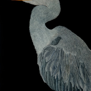 Blue Herron Print