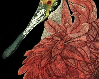 Roseate Spoonbill Print