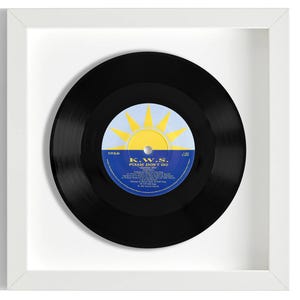 May include: A black vinyl record in a white frame. The record label is blue and yellow with the text "K.W.S. PLEASE DON'T GO".