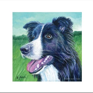 Spirit of Dog - Biglietto d'auguri/grazie con messaggio totem dello spirito della natura. Biglietto di compleanno e biglietto di amicizia con ritratto di cane Border Collie
