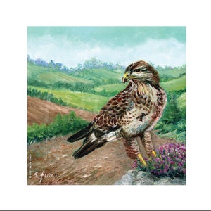 Carta dell'amicizia dello spirito della poiana. Birds of Prey Poiana Dipinto ad olio Biglietto di compleanno maschile con messaggio Totem dello spirito della natura