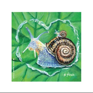 Spirit of Snail Card &Thank You Card. Spirituele verjaardagskaart met Nature Spirit Totem-boodschap. Creepy Crawlers Garden Lover Kaart