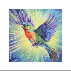 Biglietto Spirit of Finch / Biglietto di ringraziamento Rainbow Finch, biglietto di pronta guarigione e biglietto di amicizia / Messaggio sul retro con il totem dello spirito della natura