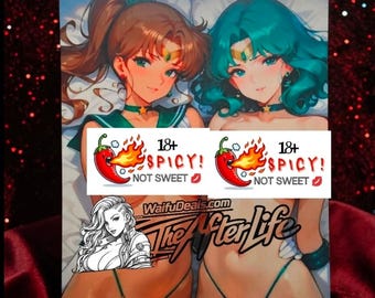 Sailor Moon 8x10 metal art piece plaque waifu print NSFW 18+