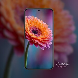 Orange Gerbera Daisy Floral Wallpaper (Digital Download)