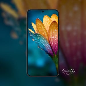 Rainbow Flower Bud Macro Wallpaper, Dew Drop Floral iPhone Android Background (Digital Download)
