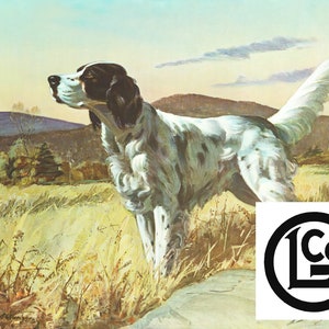 May include: A white and black English Setter dog stands in a field of tall grass, looking to the left. The dog has a long, pointed tail and a black and white spotted coat. The dog is standing on a rock. The background is a field of tall grass and a forest in the distance. The image is a vintage illustration with a logo for L.G. Co. in the lower right corner.