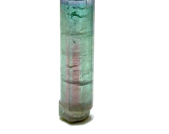 Bi Color Terminated Tourmaline Crystal