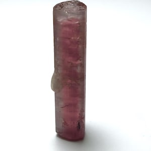 Watermelon Tourmaline Crystal
