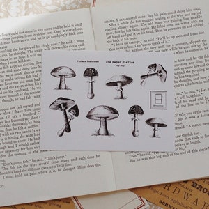 Foglio di adesivi con illustrazioni di funghi vintage - fogli di adesivi fustellati, cancelleria per diari decorativi, pianificazione e bujo