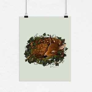 Fawn Art Print, Deer Artwork, Woodland Animal Art