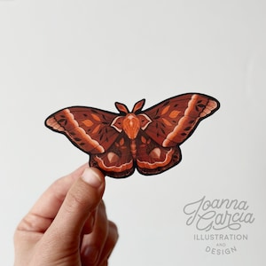 Fall Moth Vinyl Sticker, Moth Sticker, Cottagecore sticker, Laptop Sticker