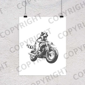 Raccoon Art Print, Raccoon on Motorcycle, Motorcycle Artwork, Raccoon Illustration